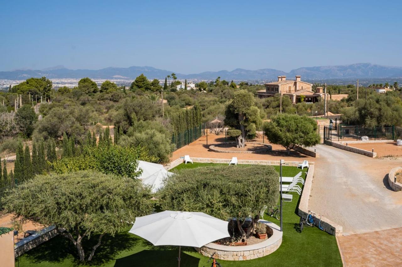 Villa Can Bellmunt Playa de Palma  Dış mekan fotoğraf